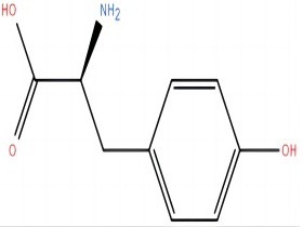 L-酪氨酸 L-Tyrosine 60-18-4